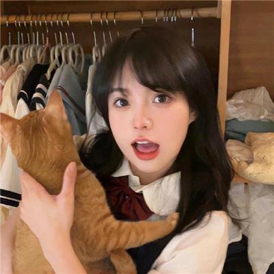 绝对冲突